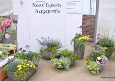 Kientzler's Heat Experts concept was developed 2 years ago. In its development Kientzler has selected varieties that do very well in times of heat and drought. These varieties can easily go two weeks without water. So no stress when you go on holiday.